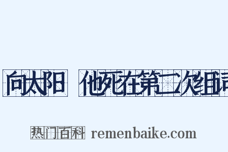 向太阳·他死在第二次组词是什么意思的图片